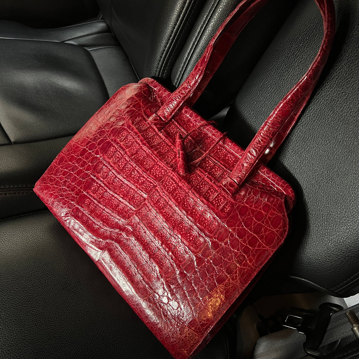Nancy Gonzalez Red Genuine Crocodile Bag